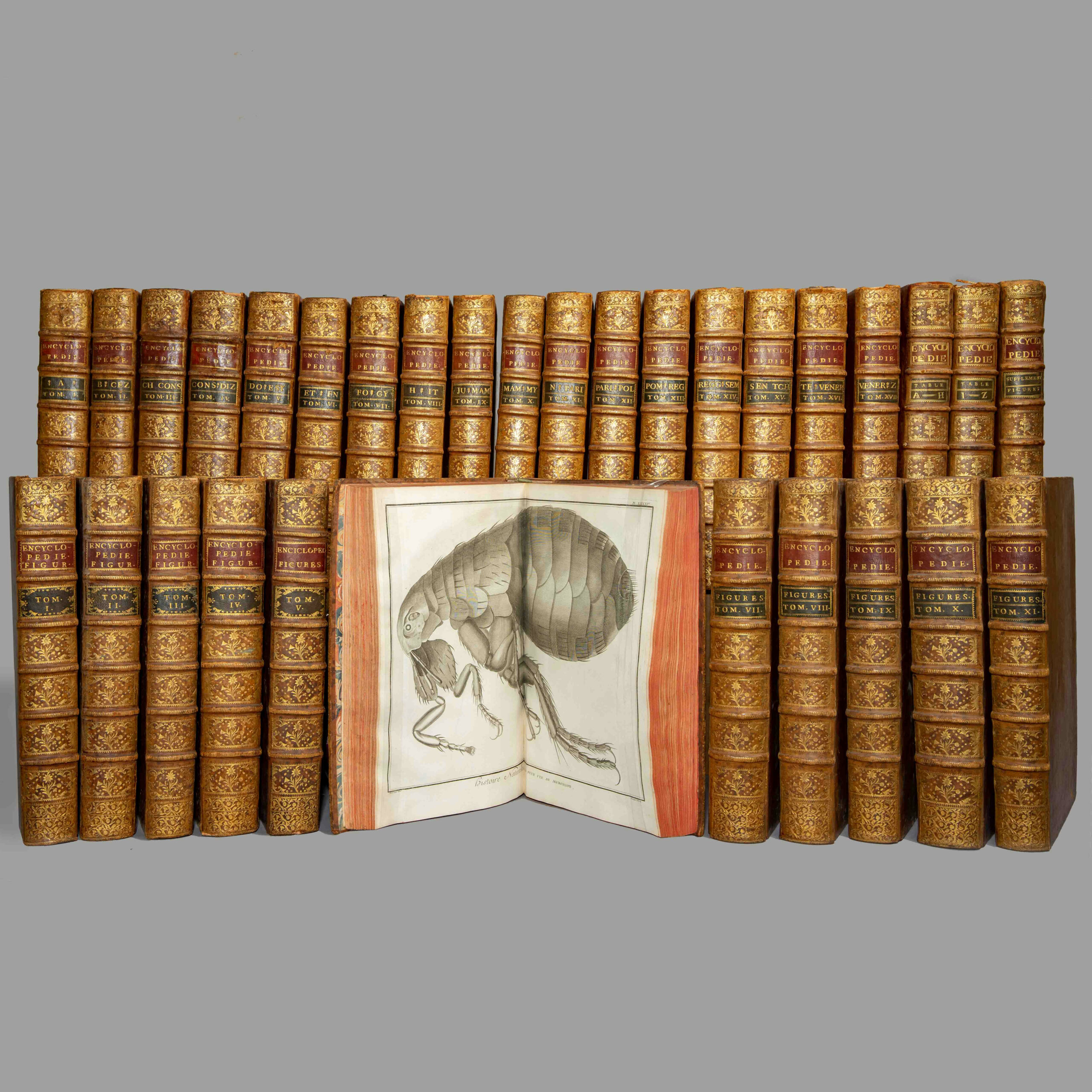 Encyclopédie ou Dictionnaire raisonné des Sciences, des Arts et des Métiers