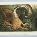 [5 lithographies de chasse par Albert Adam]