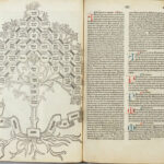 [Etymologiarum libb. XX.]