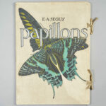 Papillons. Vingt planches en phototypie coloriées au patron donnant 81 papillons et 16 compositions décoratives