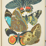 Papillons. Vingt planches en phototypie coloriées au patron donnant 81 papillons et 16 compositions décoratives