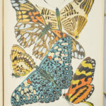 Papillons. Vingt planches en phototypie coloriées au patron donnant 81 papillons et 16 compositions décoratives