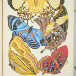 Papillons. Vingt planches en phototypie coloriées au patron donnant 81 papillons et 16 compositions décoratives