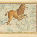 [Carte Céleste - le Lion]