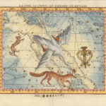 [Carte Celeste] - La Lyre, le Cygne, le Lézard, le Renard