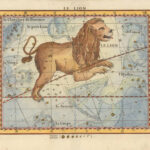 [Carte Celeste] - Le Lion